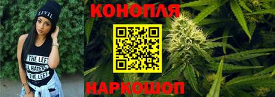молекула духа Будённовск