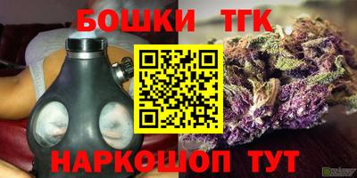 молекула духа Будённовск