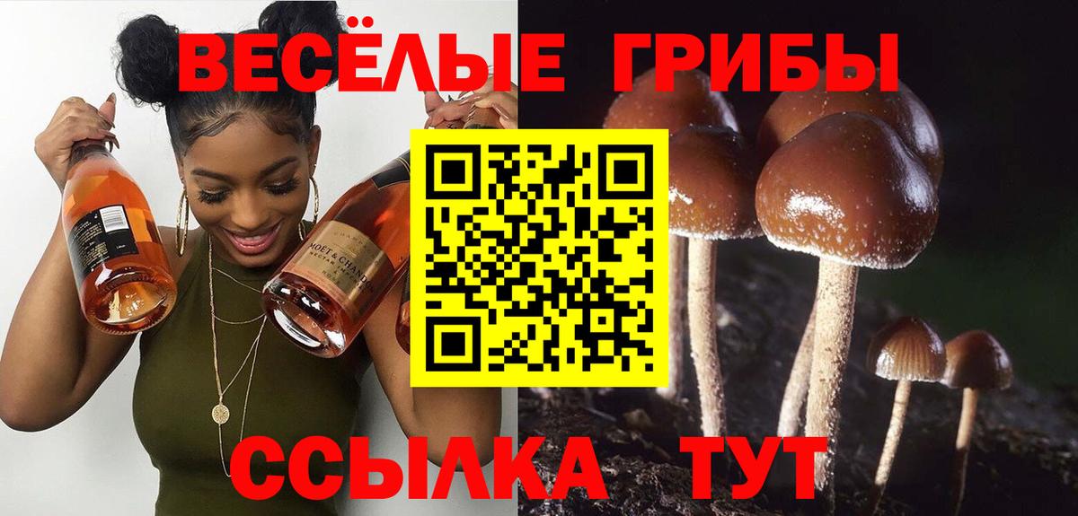 Галлюциногенные грибы MAGIC MUSHROOMS  Вход с VPN  Шатура 